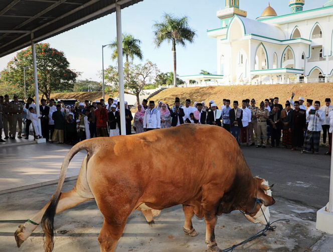 
Pemda KSB Salurkan 243 Ekor Hewan Kurban, Bupati Ajak Warga Tetap Hidup Optimis